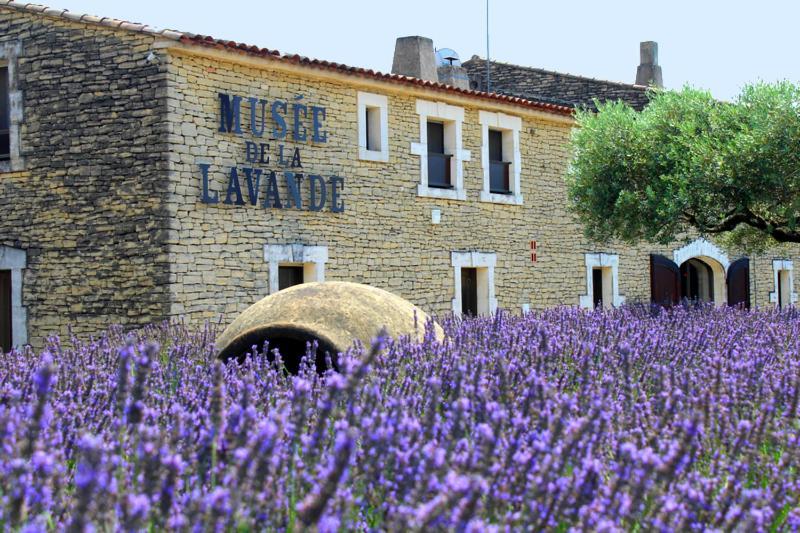 chambre à coté du mont Ventoux Mazan Exterior foto